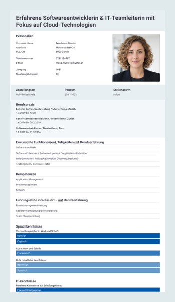muster cv ictjobs  klein zur Illustration auf Medienjobs